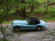 classic-jaguar-driving-80x60-25301639bdfe4c7678446ed076d5dec4 image classic-jaguar-driving