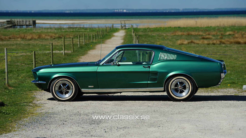 dark-moss-green-mustang-800x450-b5ce469693818f02dc66f52d0a8cb2f6 image dark-moss-green-mustang