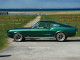 dark-moss-green-mustang-80x60-b5ce469693818f02dc66f52d0a8cb2f6 image dark-moss-green-mustang