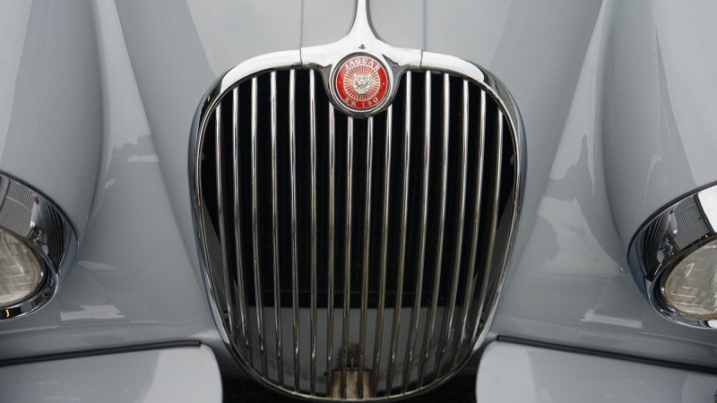 grill-jaguar-fhc