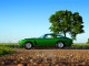 iso-grifo-for-sale