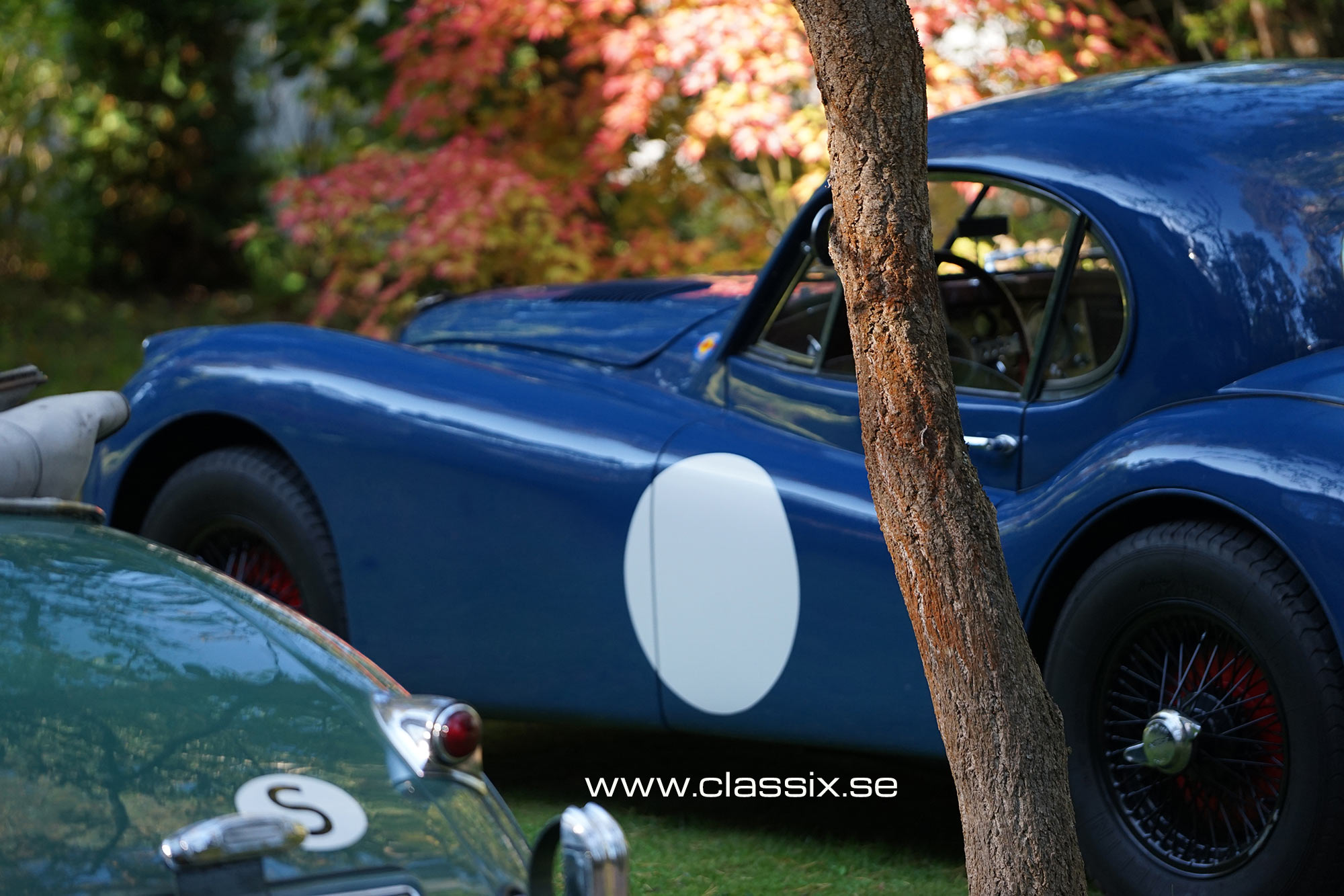 jaguar-xk120-coupe image jaguar-xk120-coupe Jaguar XK120 Why you should by one
