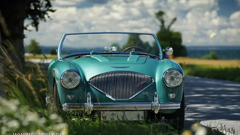 bn1-healey-for-sale
