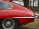 red-tail-etype