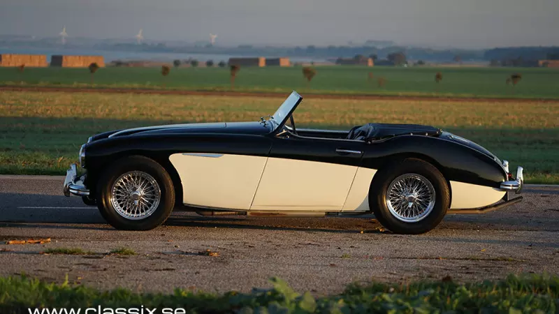 till-salu-austin-healey
